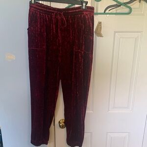 ONE WORLD Women's Velvet Pull-On Pants in Burgundy